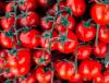 Tomater rå fra alle producenter