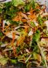 Dagens salat uden dressing økologisk (210g)