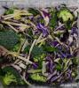 Broccoli salat med creme fraiche-dressing (265g)